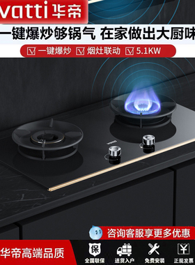 Vatti/华帝 8E21/20/8C21大火力炬焰一键爆炒天然煤气双头灶可联