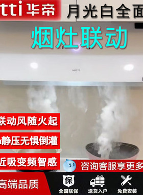 华帝X10B超薄艺术家月光白变频家用油烟机10308L天然气灶具套装