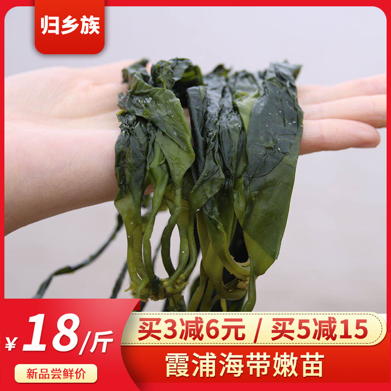 新鲜海带苗,海带苗裙带菜(第3页)_大山谷图库