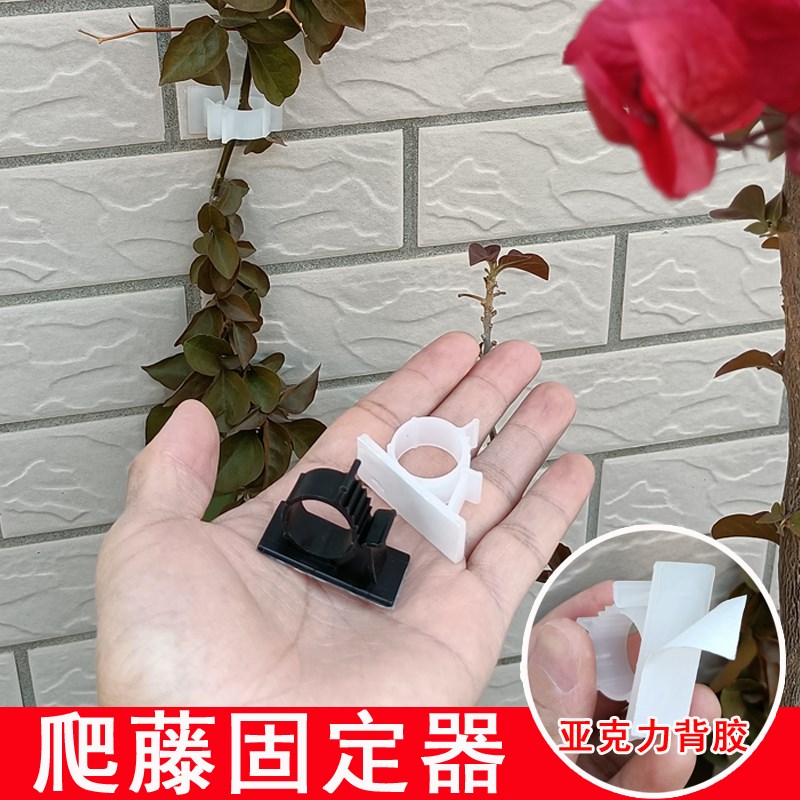 爬藤月季固定器园艺花墙藤蔓蔷薇上墙牵引自粘胶T卡扣夹亚克力粘