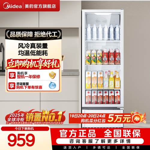 美的208/318展示柜立式冰柜冰吧