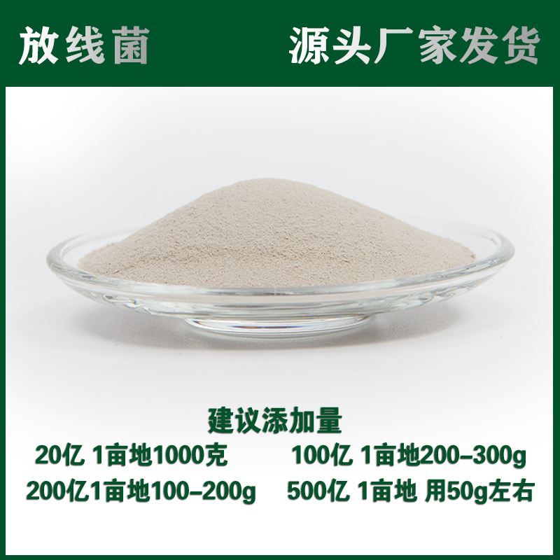 厂家直供兰花用放线菌散装包邮