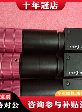 议价Piont grey 灰点 BFLY-PGE-12A2M-C议价