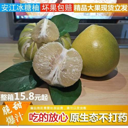 湖南怀化安江雪峰爆汁老树冰糖柚