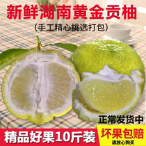 洪江黄金贡柚10斤装雪峰山富硒新鲜象山青春香桔柚湖南怀化特产