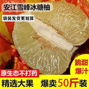 湖南怀化安江雪峰冰糖柚老树小苦柚药柚子安福金兰柚爆汁50斤大果