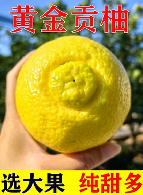 怀化洪江黄金贡柚岩垅春香桔柚象山青湖南雪峰小甜柚礼盒大果10斤