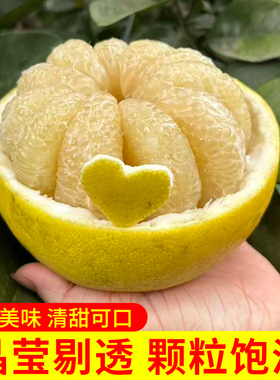 重庆梁平柚子正宗梁山柚麻柚平顶柚龙滩百年老树柚农家种植白蜜柚