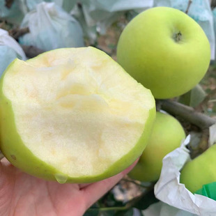 白水瑞雪苹果新鲜水果纯甜脆甜多汁玫瑰香礼盒不打蜡孕妇瑞香红