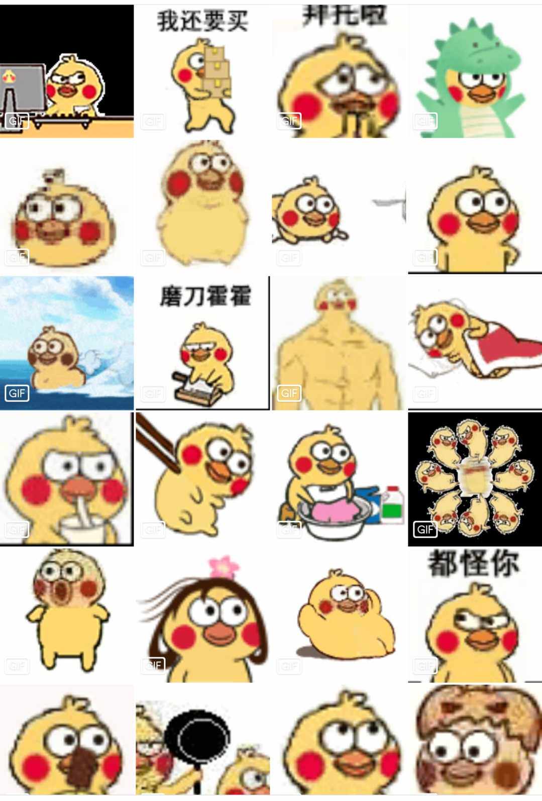 小黄鸡表情包50个 微信动态表情包