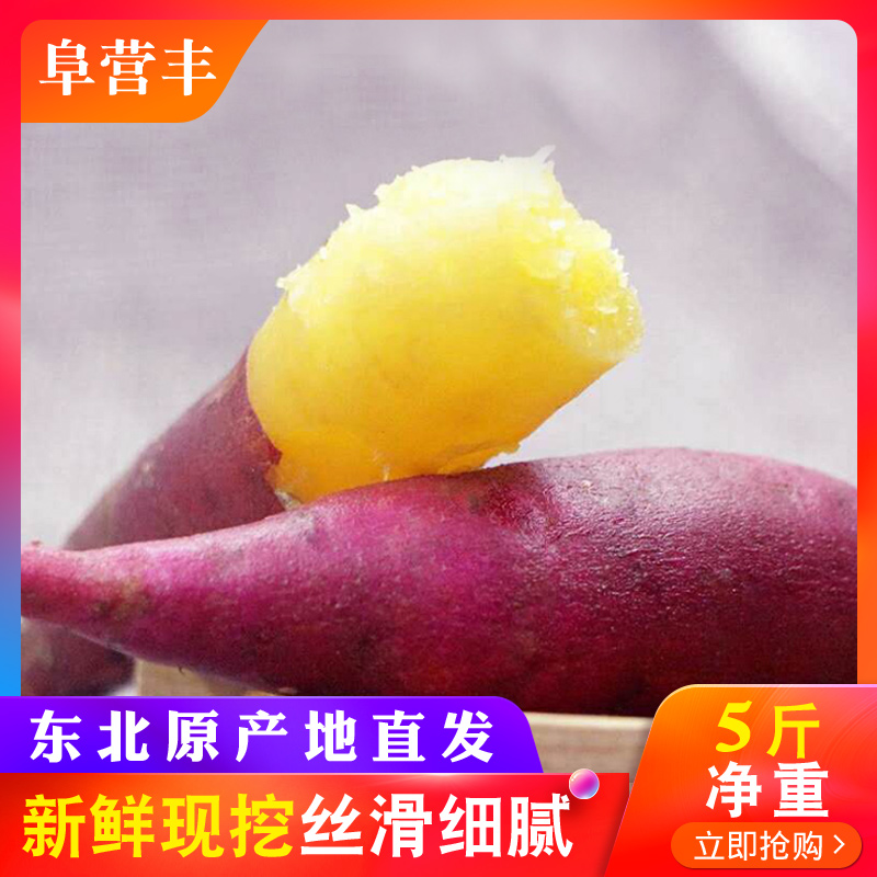 板栗小香薯5斤拇指薯迷你红薯农家阜新地瓜山芋番薯新鲜现挖甘薯