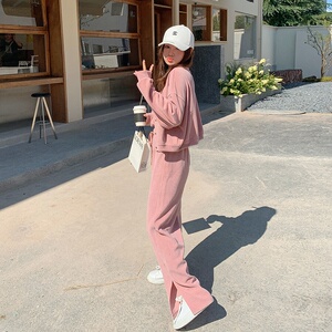 2022秋季高品质时尚雪尼尔外套长裤套装女123-8820-P130-K188,女装运动套装,浙宝123