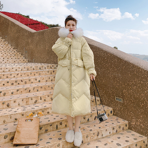 现货！以备！质量好！爆！大毛领服123-6590-P195-K278图片