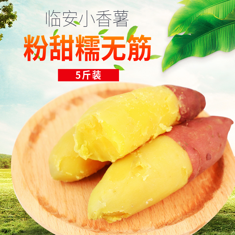 天目黄心小香薯 农家新鲜小红薯板栗薯 大号山芋地瓜五斤包邮