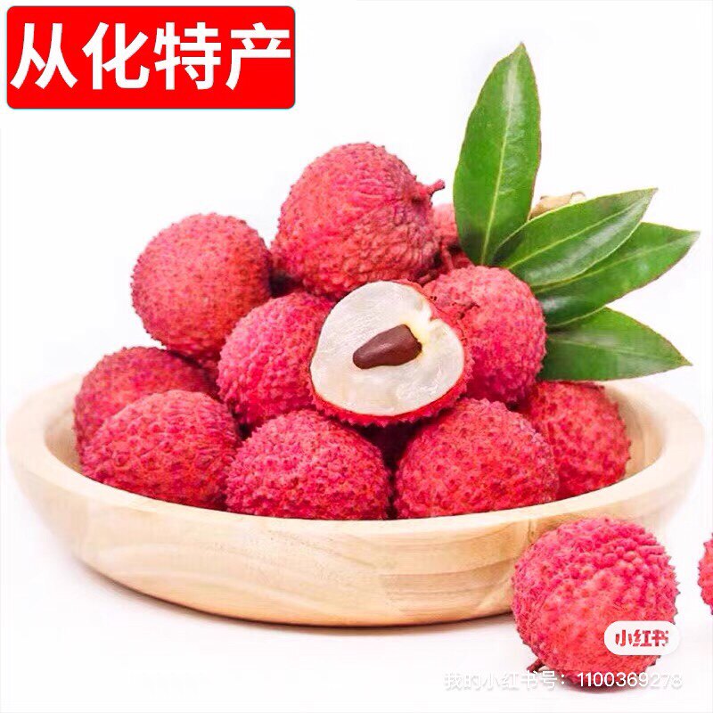 广东从化桂味荔枝新鲜现摘现发无核10斤当天发货包邮