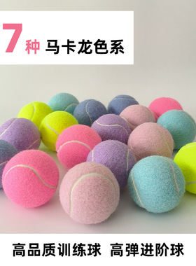 粉色网球高弹耐打浅紫色初学者儿童练习球彩色蓝色弹力球宠物软球