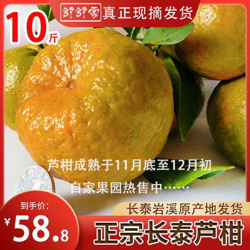 舒舒家正宗漳州长泰芦柑