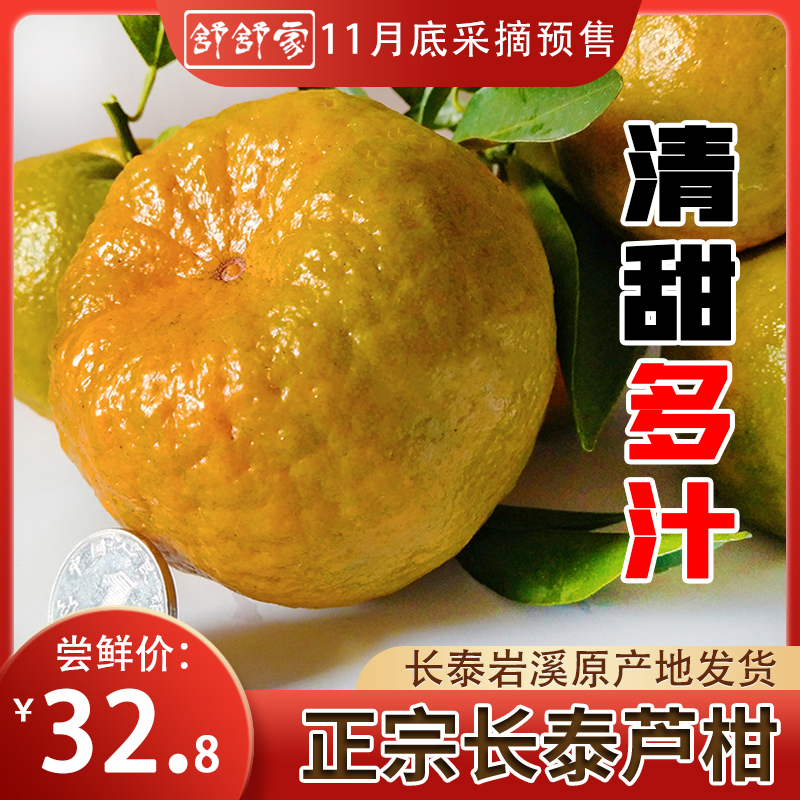 福建漳州长泰芦柑砂糖蜜桔橘