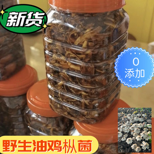 云南油鸡枞炸后3斤装2026年新货天然纯野即食火把鸡枞油德宏特产