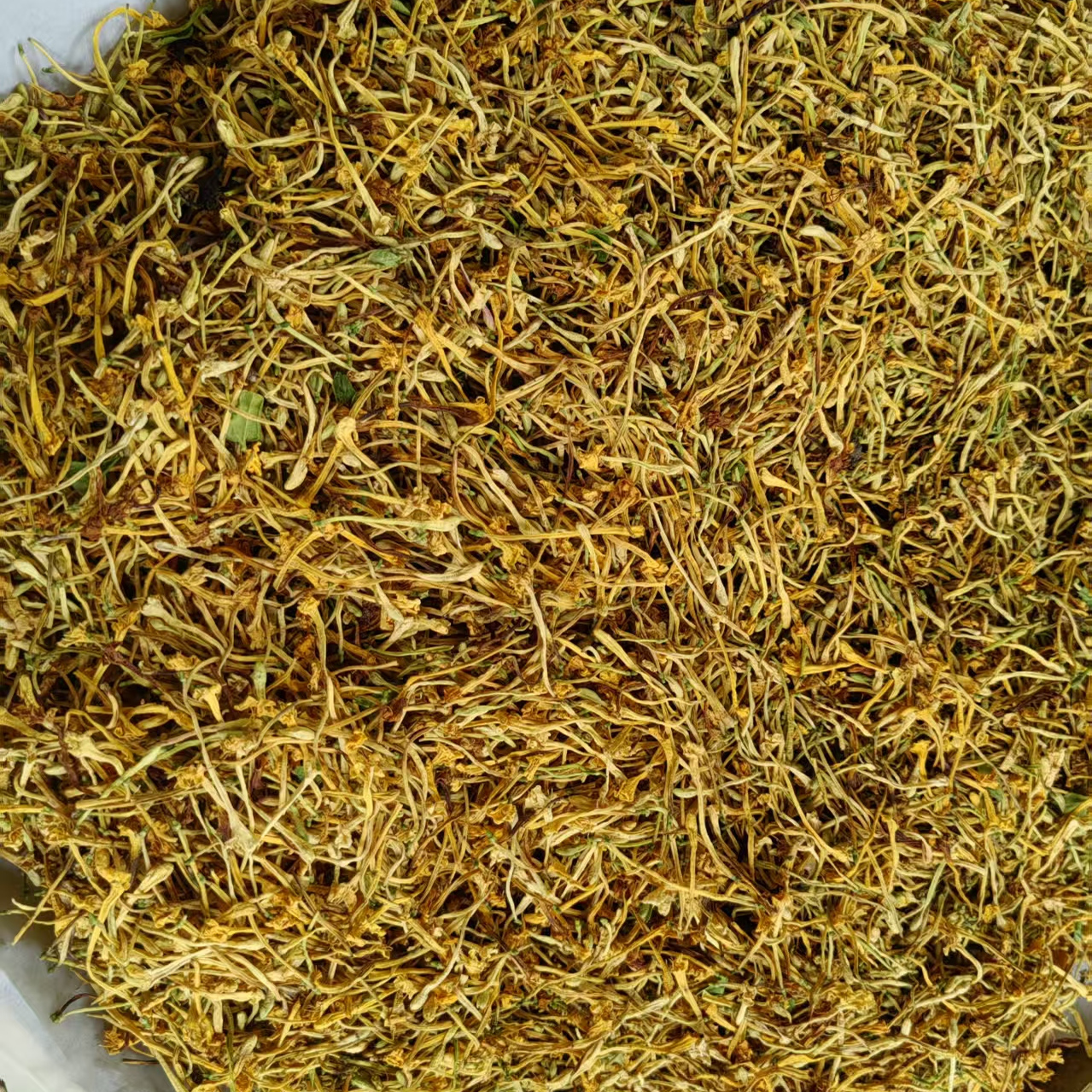 缅甸纯正天然野生金银花茶中缅边境下山货
