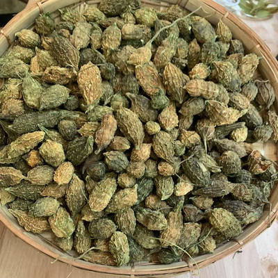 缅甸纯正天然野生小苦瓜山苦瓜干货中缅边境特产山货