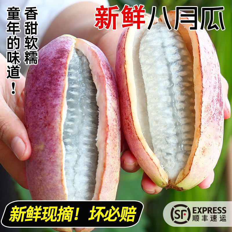贵州野生八月瓜新鲜水果八月炸当季现摘香瓜野香蕉甜瓜牛卵坨特产