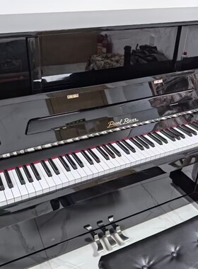 珠江钢琴原声钢琴立式钢琴专业儿童家用考级初学教学钢琴C2E 120