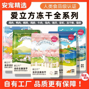 领养之家爱立方全阶段幼
