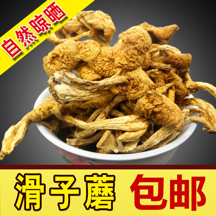 东北特产滑子蘑干货500包邮天然美味营养黄蘑香菇类小鸡炖蘑菇