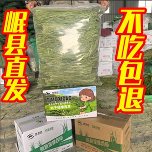 【直播专享】25年头茬5A烘干提摩西草精品北提干草兔草荷兰猪主粮