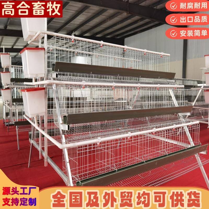 蛋鸡笼鸡笼热镀锌三层五门阶梯式蛋鸡笼绿食槽养殖自动化鸡舍