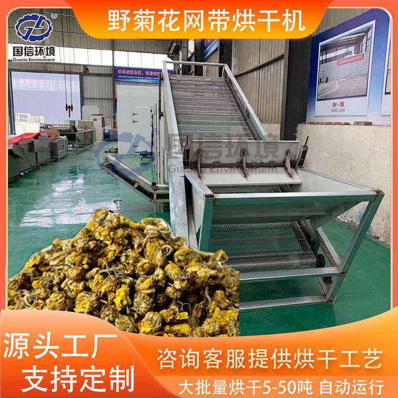网带野菊花烘干设备大型野山菊路边菊小雏菊烘干机菊花干燥设备