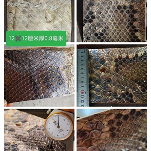 二胡皮三弦皮蒙皮二胡蟒皮大花纹皮修理蒙皮换皮原皮