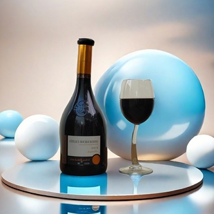 第二支半价 买2支送空礼盒 法国香奈勃艮第山丘干红葡萄酒 AOP级