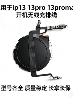 适用苹果13代开机排线mini iPhone13ProMAX静音键音量加减无线充