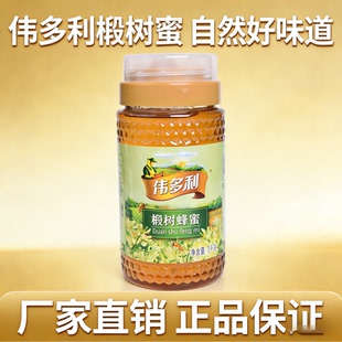 伟多利1000g椴树蜂蜜瓶装蜂蜜大瓶蜂蜜