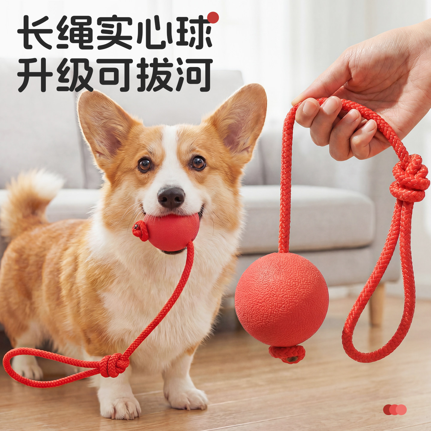 狗狗玩具球耐咬狗球小狗球比熊柯基边牧绳结拔河橡胶球实心弹力球