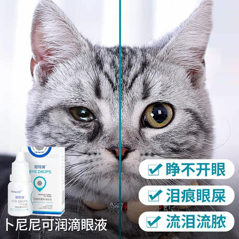 猫咪滴眼液眼睛发炎流泪流脓猫用消炎药去狗狗防泪痕猫鼻支眼药水