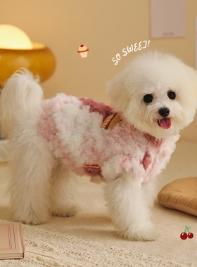 狗狗衣服秋冬款比熊泰迪博美宠物的小型犬约克夏冬天保暖小狗冬季
