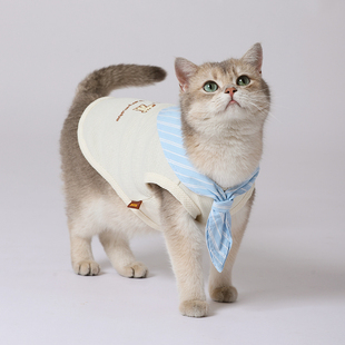 Hoopet背心秋季防掉毛薄款布偶猫幼猫小猫秋冬狗狗宠物的猫咪衣服