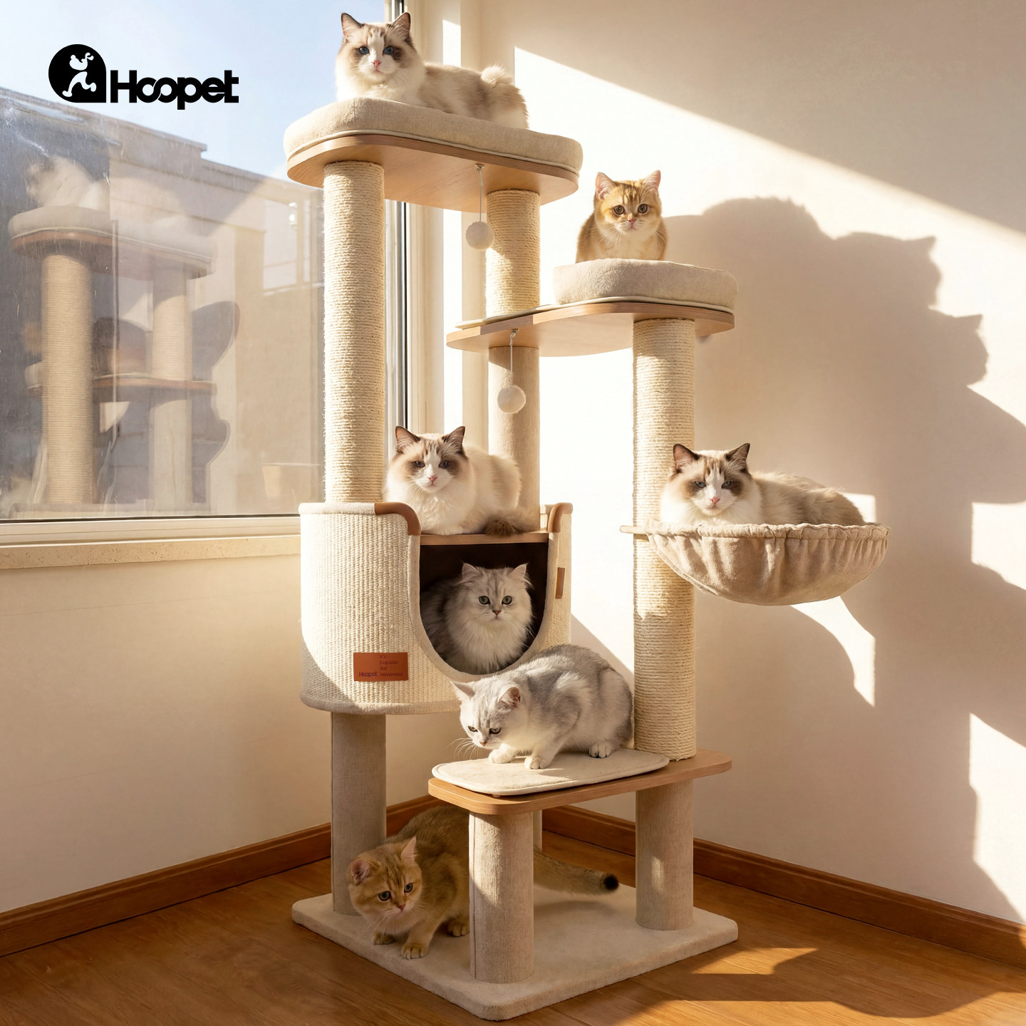 Hoopet猫爬架大称重大猫多猫用