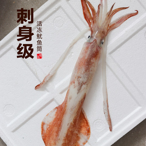 刺身级鱿鱼活体速冻刺身级品质