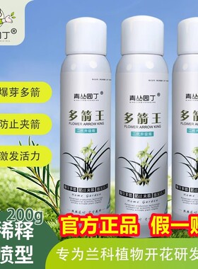 青丛园丁多箭王兰花专用冒箭促箭防夹箭花期长花多艳丽蝴蝶兰旗舰