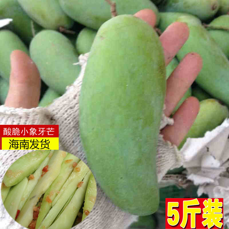 海南新鲜酸芒生芒果 生吃芒腌制酸脆小象牙芒云南广西红牙5斤中果