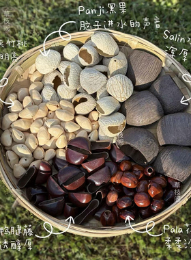 植物果壳材料diy手工配件panji黑果风铃印尼进口小众冥想音疗