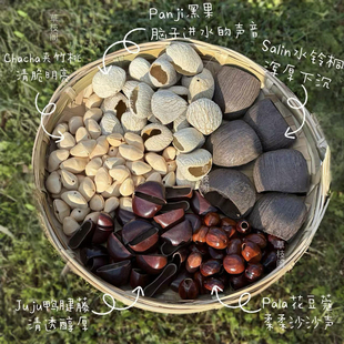 植物果壳材料diy手工配件panji黑果风铃印尼进口小众冥想音疗