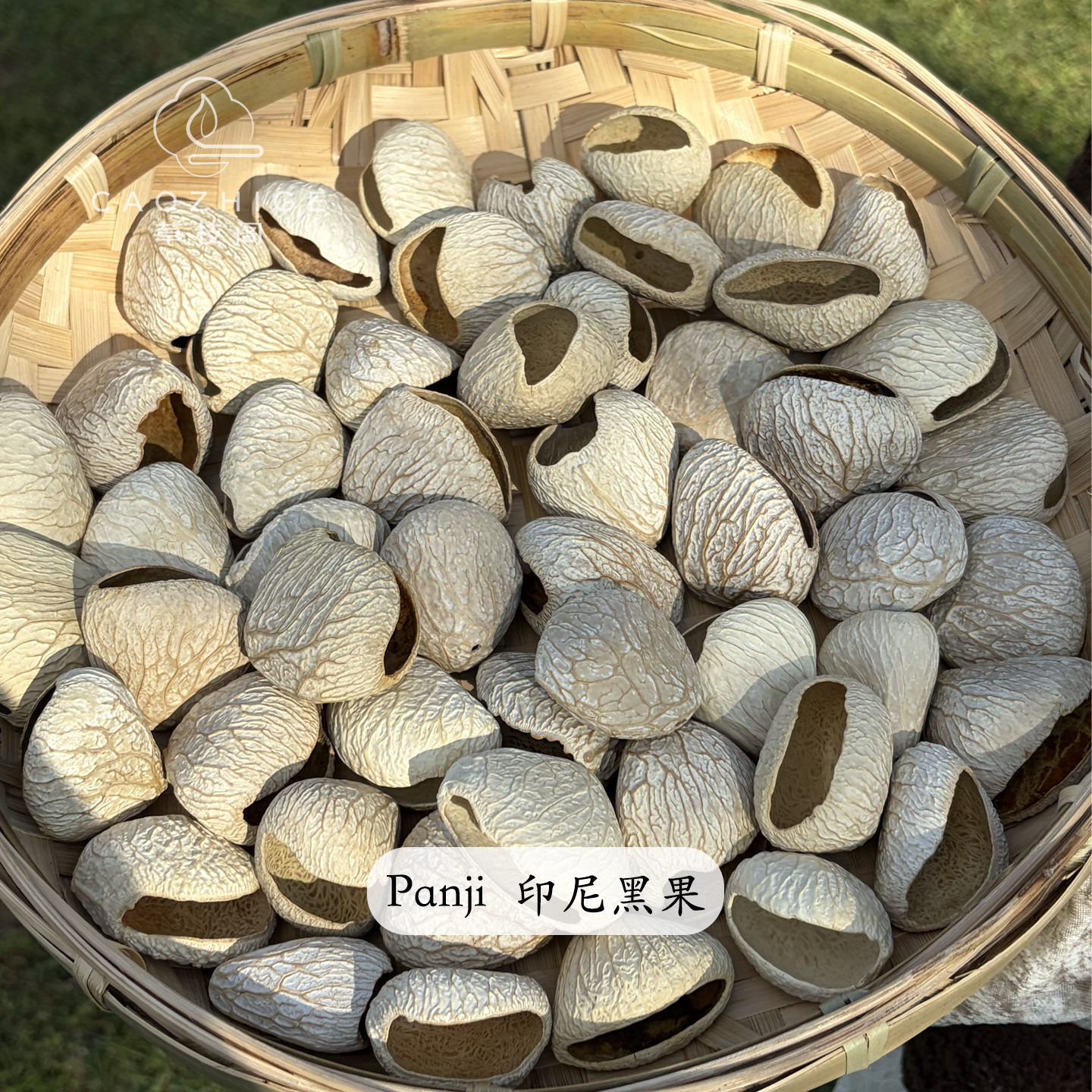 黑果植物果实壳音疗解压