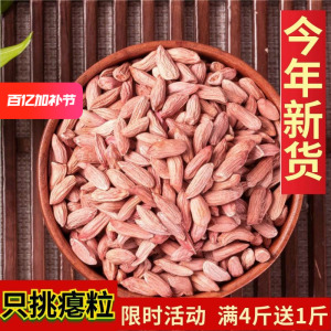 小瘪花生米生新秕花生仁熟真空小包装红皮生花生多味花生零食特产