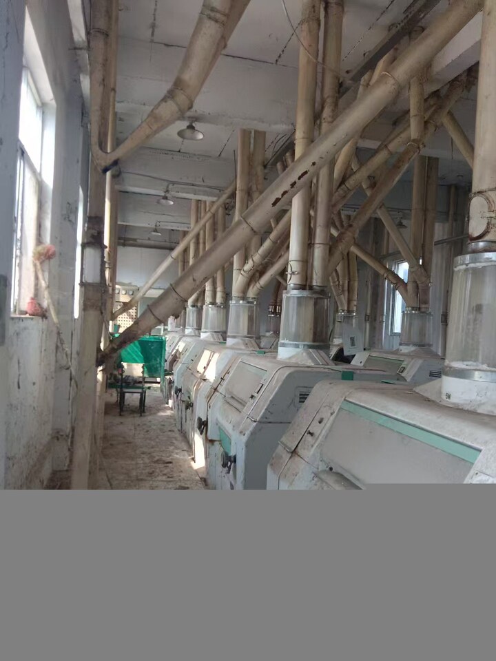 6月15日商丘河南省永城市薛湖镇滦湖南街雪花面粉厂内厂房、机械设备及附属物网络拍卖公告