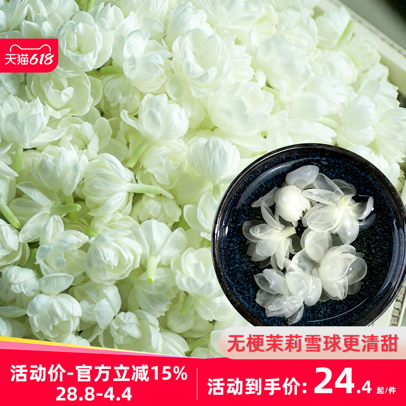 横县茉莉花无梗雪球当季新花